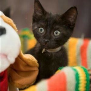 Meet your Posher, Edith